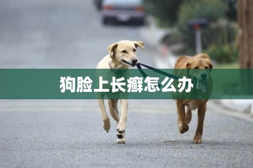狗臉上長癬怎么辦