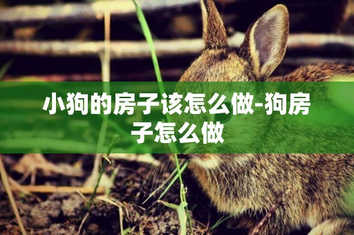 小狗的房子該怎么做-狗房子怎么做