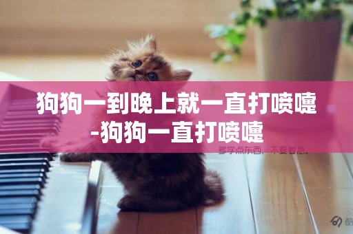 狗狗一到晚上就一直打噴嚏-狗狗一直打噴嚏