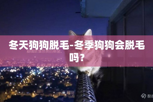 冬天狗狗脫毛-冬季狗狗會脫毛嗎？