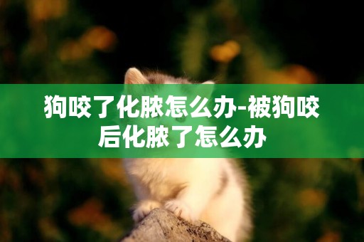 狗咬了化膿怎么辦-被狗咬后化膿了怎么辦