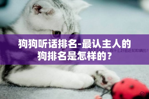 狗狗聽話排名-最認主人的狗排名是怎樣的？