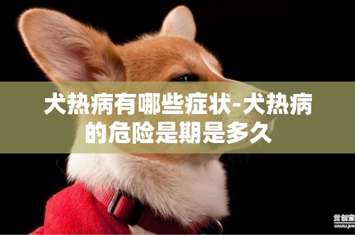 犬熱病有哪些癥狀-犬熱病的危險是期是多久