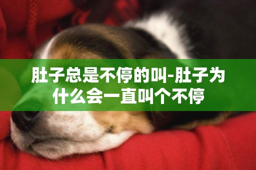 肚子總是不停的叫-肚子為什么會一直叫個不停
