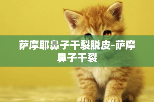薩摩耶鼻子干裂脫皮-薩摩鼻子干裂