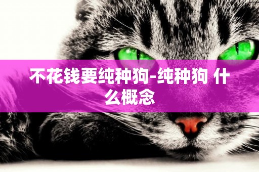 不花錢要純種狗-純種狗 什么概念