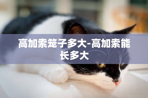 高加索籠子多大-高加索能長多大
