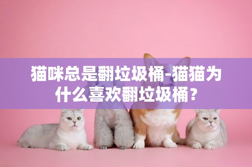 貓咪總是翻垃圾桶-貓貓為什么喜歡翻垃圾桶？