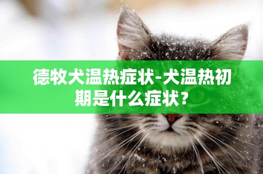 德牧犬溫熱癥狀-犬溫熱初期是什么癥狀？