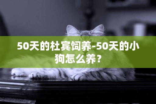 50天的杜賓飼養-50天的小狗怎么養？