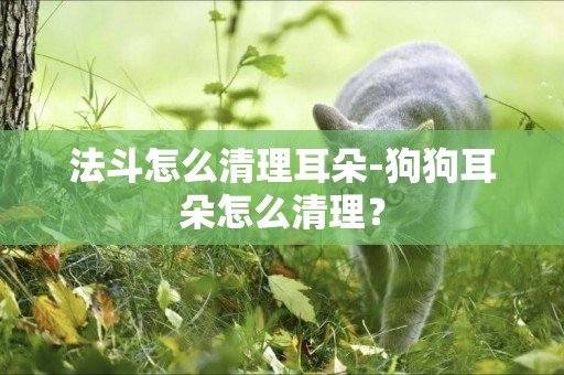 法斗怎么清理耳朵-狗狗耳朵怎么清理？