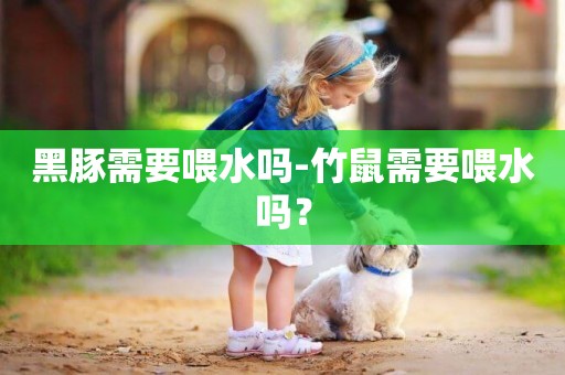黑豚需要喂水嗎-竹鼠需要喂水嗎？