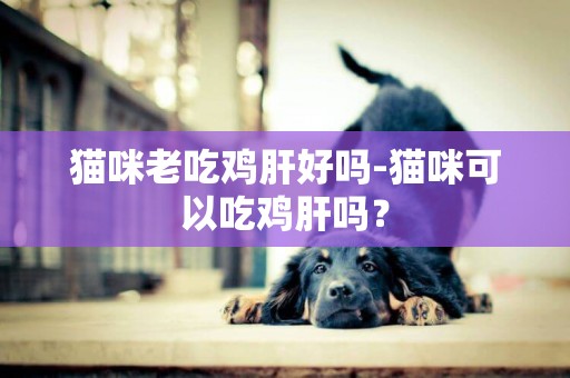 貓咪老吃雞肝好嗎-貓咪可以吃雞肝嗎？