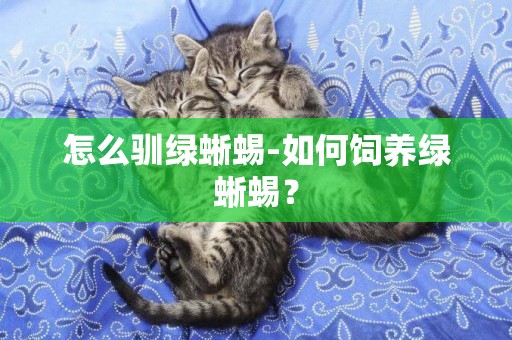 怎么馴綠蜥蜴-如何飼養綠蜥蜴？