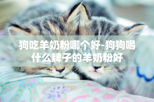狗吃羊奶粉哪個好-狗狗喝什么牌子的羊奶粉好