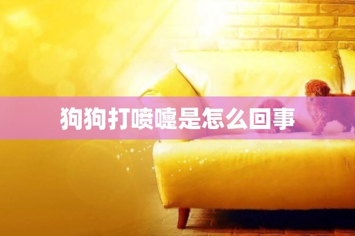 狗狗打噴嚏是怎么回事