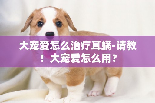 大寵愛怎么治療耳螨-請教！大寵愛怎么用？