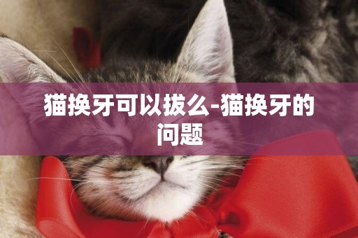 貓換牙可以拔么-貓換牙的問題