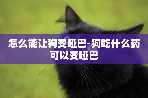怎么能讓狗變啞巴-狗吃什么藥可以變啞巴