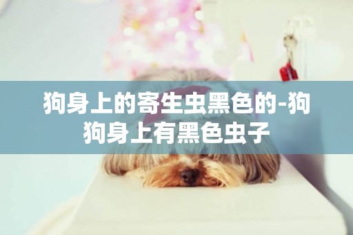 狗身上的寄生蟲黑色的-狗狗身上有黑色蟲子