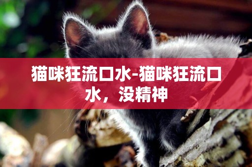 貓咪狂流口水-貓咪狂流口水，沒精神
