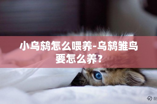 小烏鶇怎么喂養-烏鶇雛鳥要怎么養？