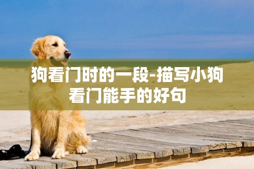 狗看門時的一段-描寫小狗看門能手的好句