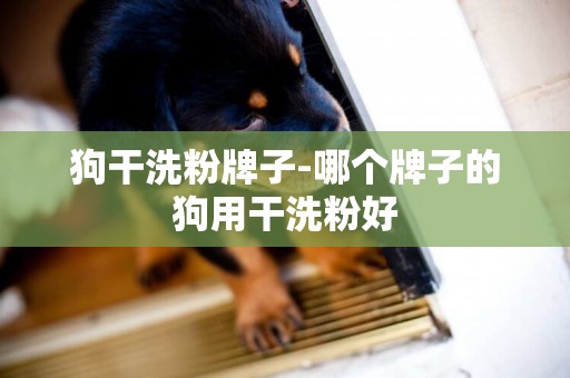 狗干洗粉牌子-哪個牌子的狗用干洗粉好