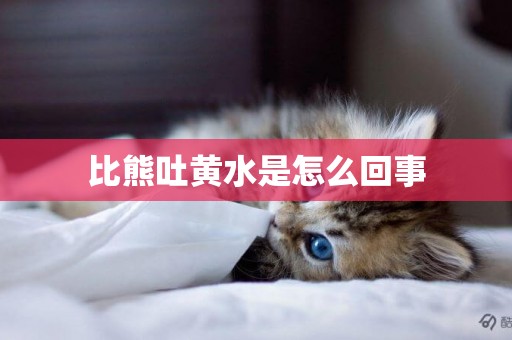 比熊吐黃水是怎么回事