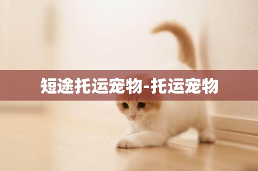 短途托運寵物-托運寵物