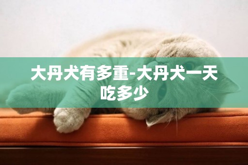 大丹犬有多重-大丹犬一天吃多少