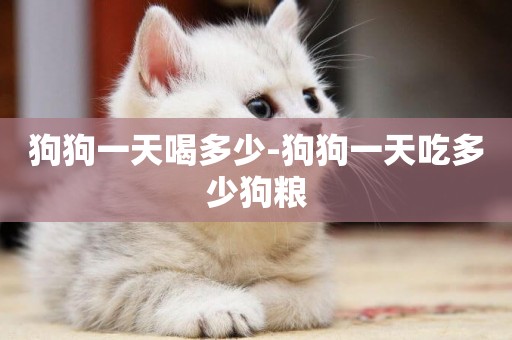 狗狗一天喝多少-狗狗一天吃多少狗糧
