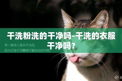 干洗粉洗的干凈嗎-干洗的衣服干凈嗎？
