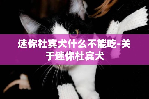 迷你杜賓犬什么不能吃-關于迷你杜賓犬