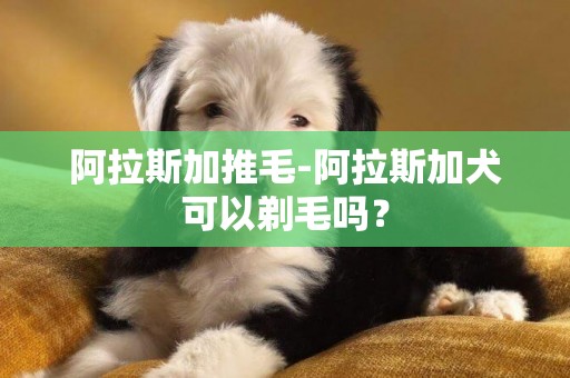 阿拉斯加推毛-阿拉斯加犬可以剃毛嗎？