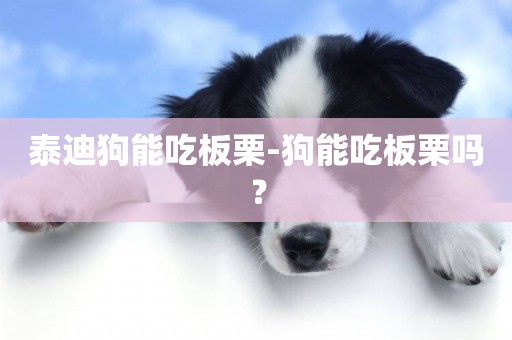 泰迪狗能吃板栗-狗能吃板栗嗎？