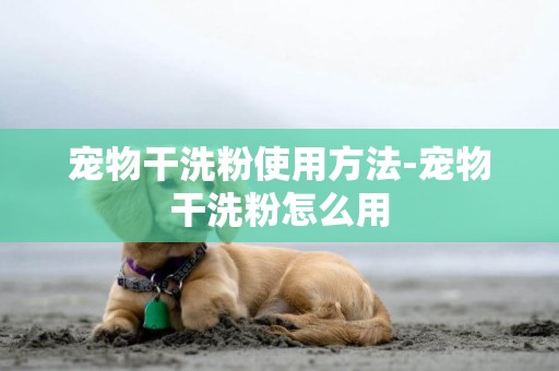 寵物干洗粉使用方法-寵物干洗粉怎么用