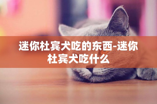 迷你杜賓犬吃的東西-迷你杜賓犬吃什么