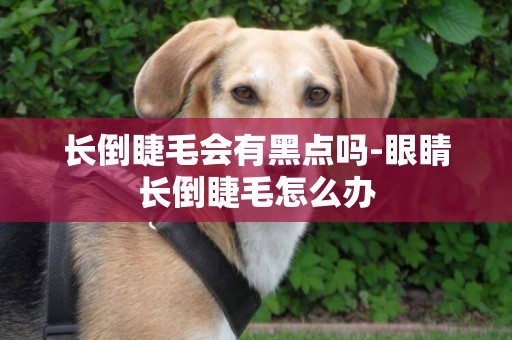 長倒睫毛會有黑點嗎-眼睛長倒睫毛怎么辦