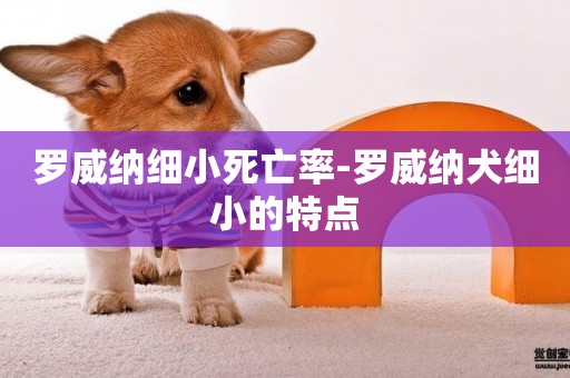 羅威納細小死亡率-羅威納犬細小的特點