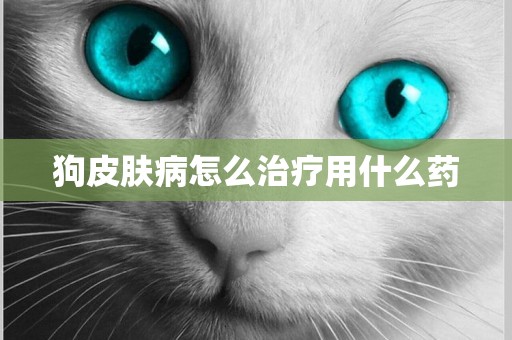 狗皮膚病怎么治療用什么藥