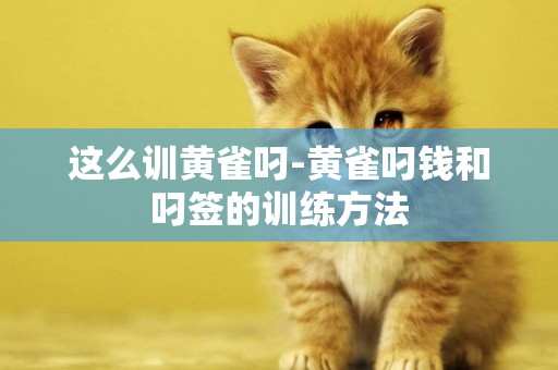 這么訓黃雀叼-黃雀叼錢和叼簽的訓練方法
