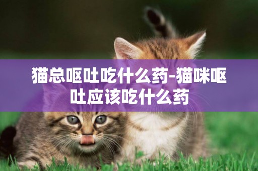 貓總嘔吐吃什么藥-貓咪嘔吐應該吃什么藥