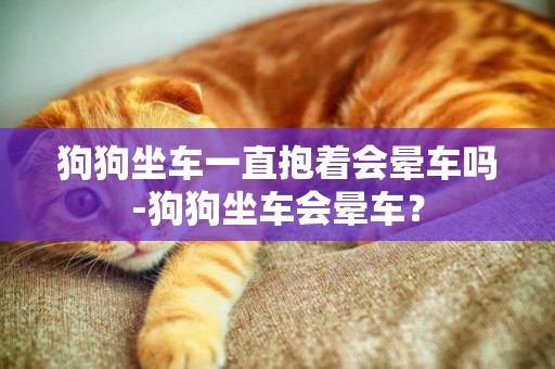 狗狗坐車一直抱著會暈車嗎-狗狗坐車會暈車？