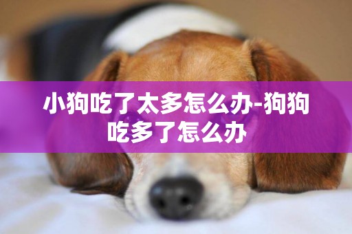 小狗吃了太多怎么辦-狗狗吃多了怎么辦