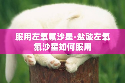 服用左氧氟沙星-鹽酸左氧氟沙星如何服用