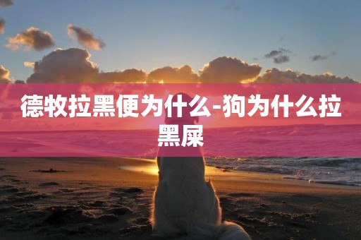 德牧拉黑便為什么-狗為什么拉黑屎