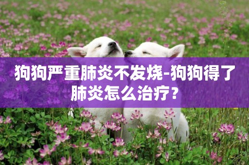 狗狗嚴重肺炎不發燒-狗狗得了肺炎怎么治療？