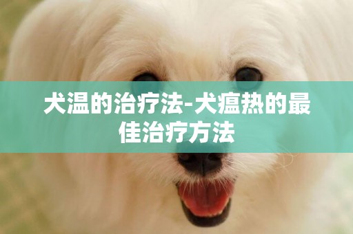 犬溫的治療法-犬瘟熱的最佳治療方法