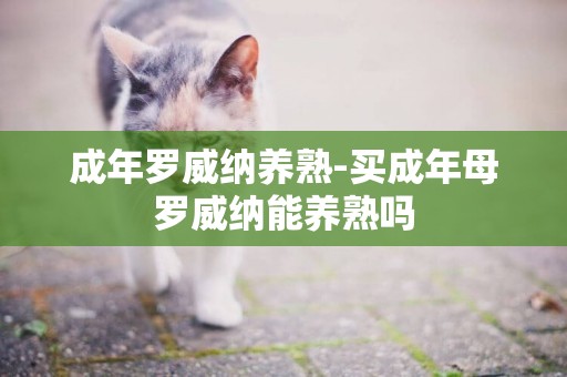 成年羅威納養熟-買成年母羅威納能養熟嗎